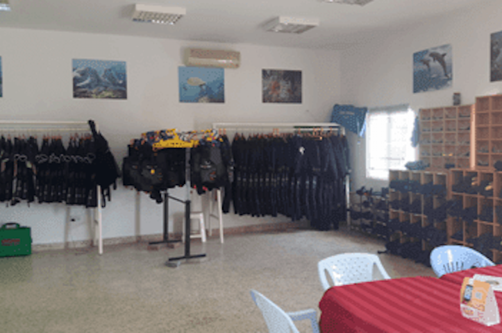 Untitled design - 2026-01-01T141358.235