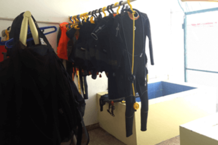 Untitled design - 2026-01-01T142511.520